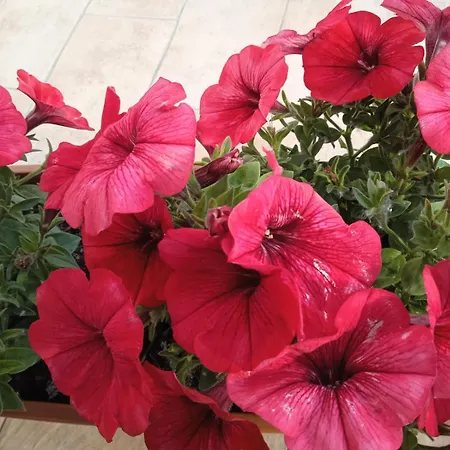 Luce Bussi sul Tirino