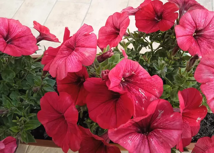 Luce Bussi sul Tirino